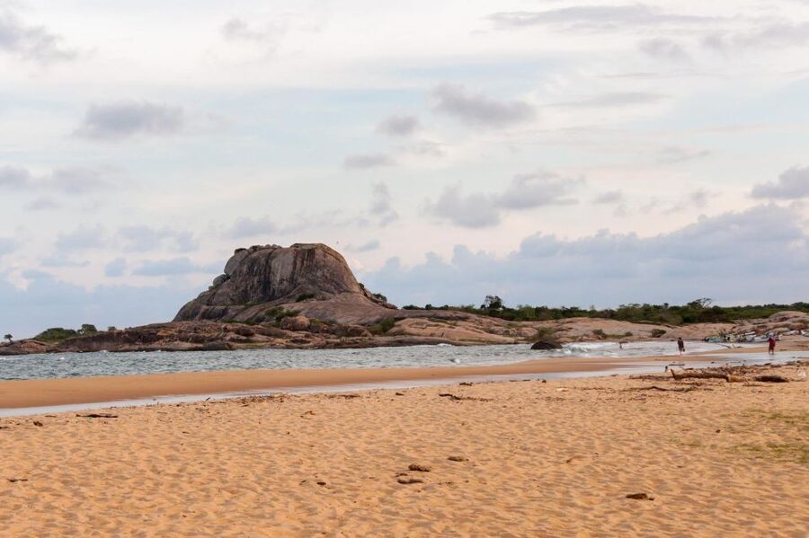 From Ella: Shuttle to Down South Any Location w Yala Safari - The ride south after Yala