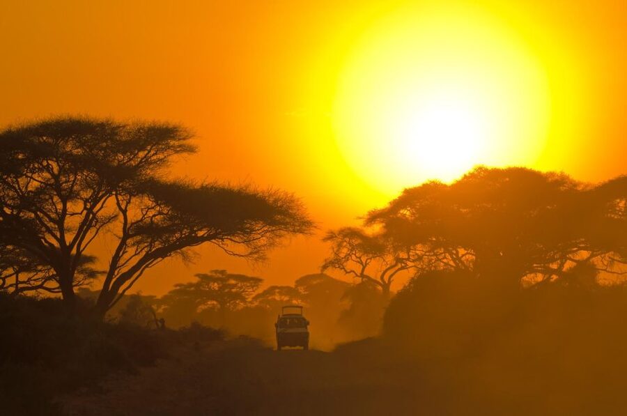 From Ella: Shuttle to Down South Any Location w Yala Safari - How the guide affects the experience