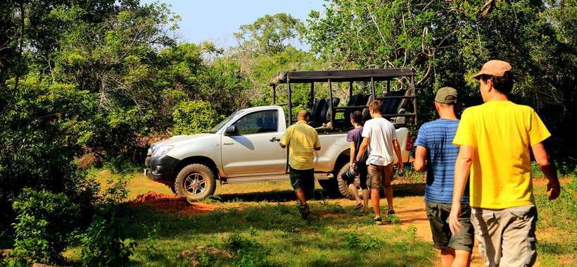 From Ella: Udawalawa Safari and Tangalle/Hiriketiya Transfer - Why this Ella to coast trip makes sense
