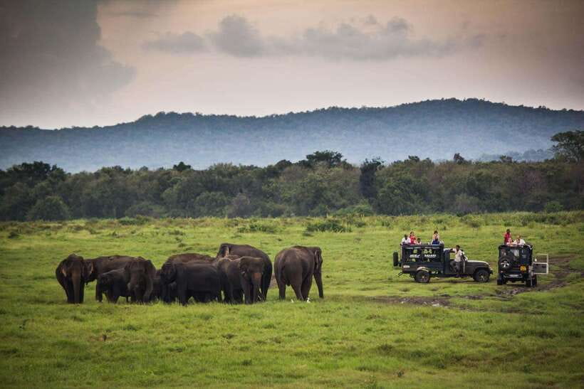 From Ella: Udawalawa Safari and Tangalle/Hiriketiya Transfer - Choosing your drop-off point