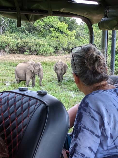 From Ella : Udawalawa Safari & Drop Tangalle/ Mirissa/ Galle - Who will get the most from this safari transfer