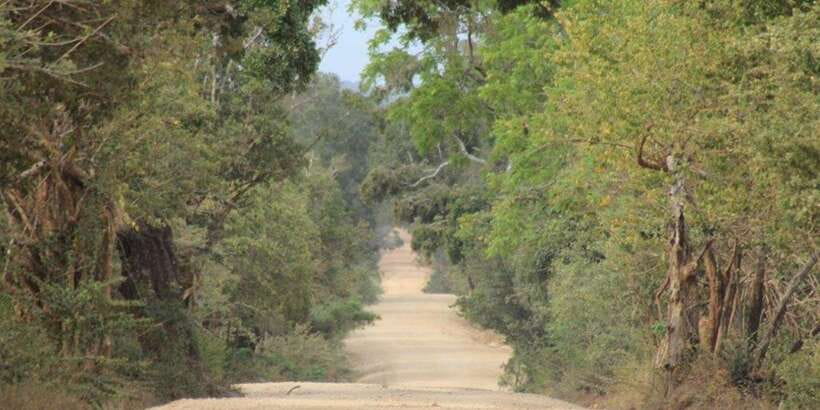 From: Ella - YALA Safari - Drop off: Arugam Bay / Arugambay - What you may see in the park