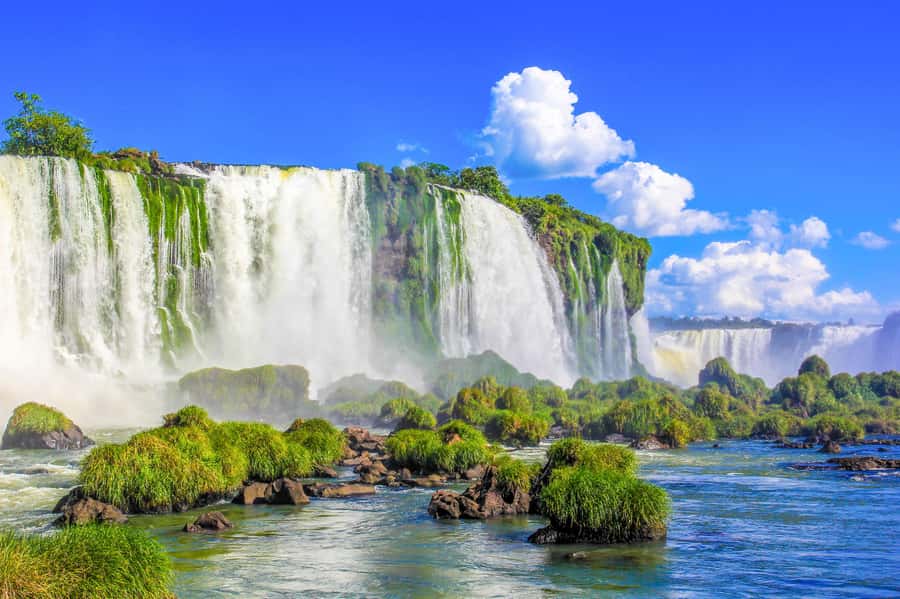 From Foz do Iguazu: Brazil Iguazu Falls & Macuco Safari Boat - Starting from Foz do Iguaçu
