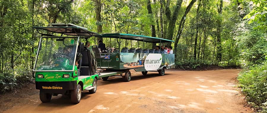 From Foz do Iguazu: Brazil Iguazu Falls & Macuco Safari Boat - Who should book this experience?