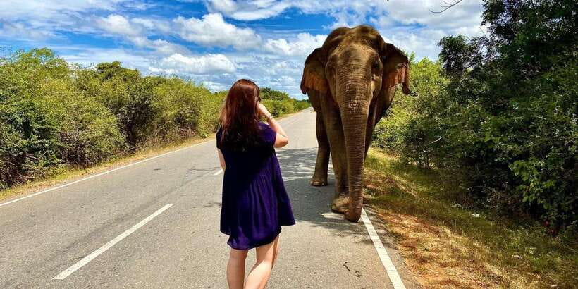 From Galle/Hikkaduwa/Mirissa Trip to Udawalawe Safari Tour - How to make the day better