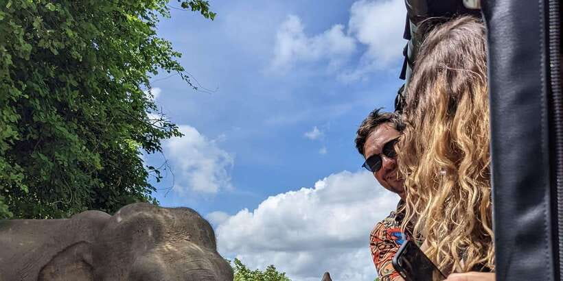 From Galle/Hikkaduwa/Mirissa Trip to Udawalawe Safari Tour - Should you book it?
