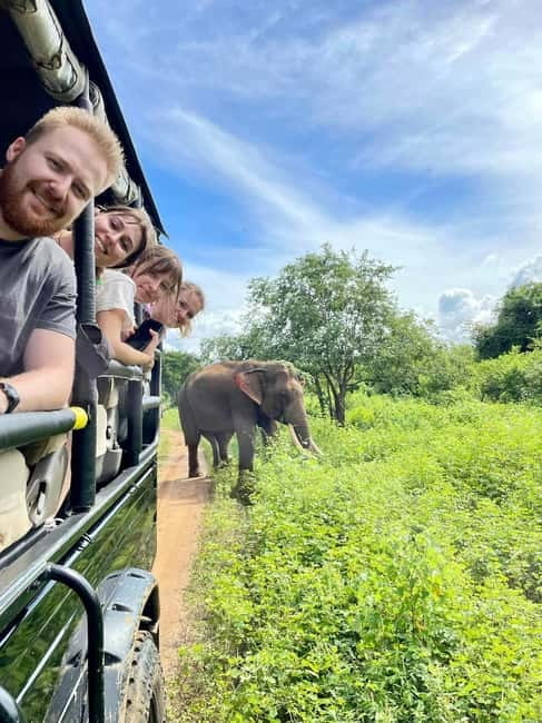 From Galle/ Mirissa/ Tangalle : Udawalawa Safari & Drop Ella - Three hours among Udawalawe’s elephants