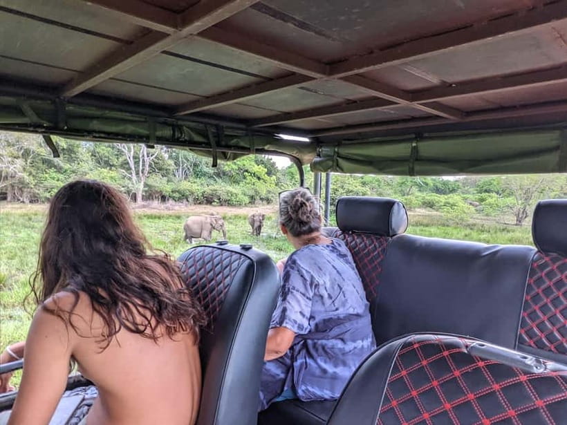 From Galle/ Mirissa/ Tangalle : Udawalawa Safari & Drop Ella - A short pause by Udawalawe Reservoir