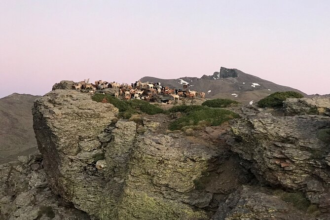 From Granada: Sierra Nevada Safari tour up to 2500 meters high - Leaving Granada for the high country
