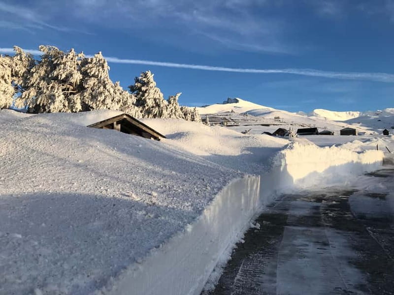 From Granada: Sierra Nevada Safari up to 2500 meters high - Key points to know before you book