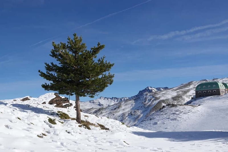 From Granada: Sierra Nevada Safari up to 2500 meters high - Who should book this Sierra Nevada trip?