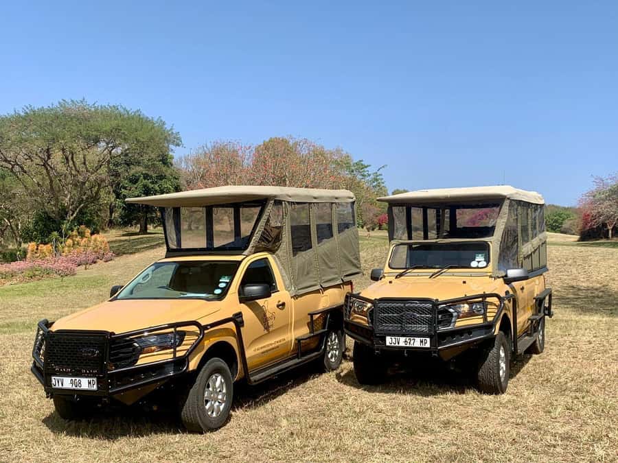 From Hazyview: Kruger National Park Full-Day Safari - Before sunrise from Hazyview