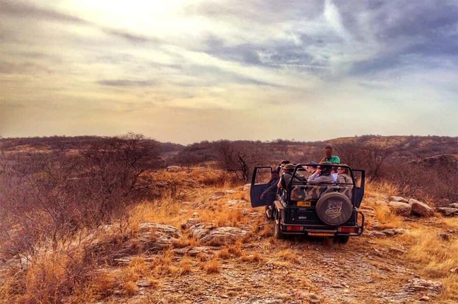 From Jaipur: Praivte Ranthambore Tour By Jeep Canter Safari - Reaching the park around 1 PM