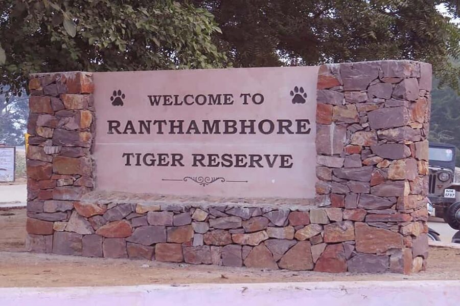 From Jaipur: Praivte Ranthambore Tour By Jeep Canter Safari - Leaving Jaipur for Sawai Madhopur