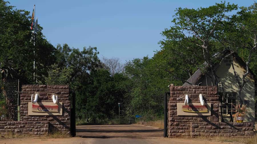 From Johannesburg: 2-Day Safari into Kruger National Park - Who should choose this safari