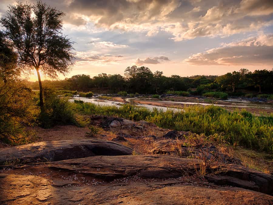 From Johannesburg: 3-Day Budget Tent Kruger Park Safari - What $653 buys you on this Kruger safari
