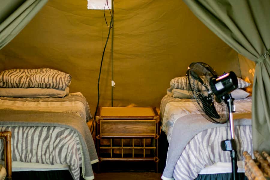 From Johannesburg: 3-Day Budget Tent Kruger Park Safari - From Campfire Academy to a full day in Kruger