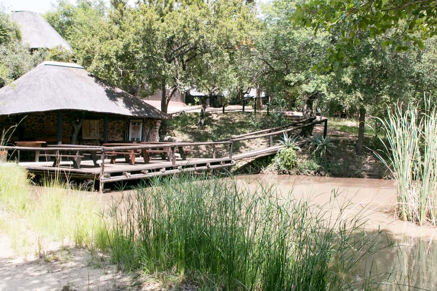 From Johannesburg: 3-Day Budget Tent Kruger Park Safari - Sleeping at Marc’s Camp and walking the bush