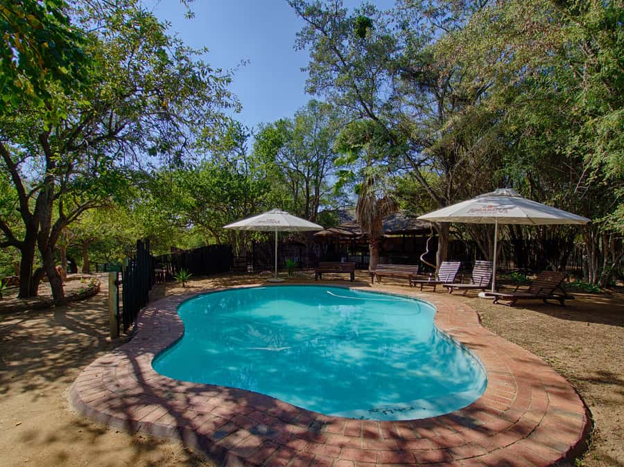From Johannesburg: 3-Day Budget Tent Kruger Park Safari - Tents, comfort, and what to pack