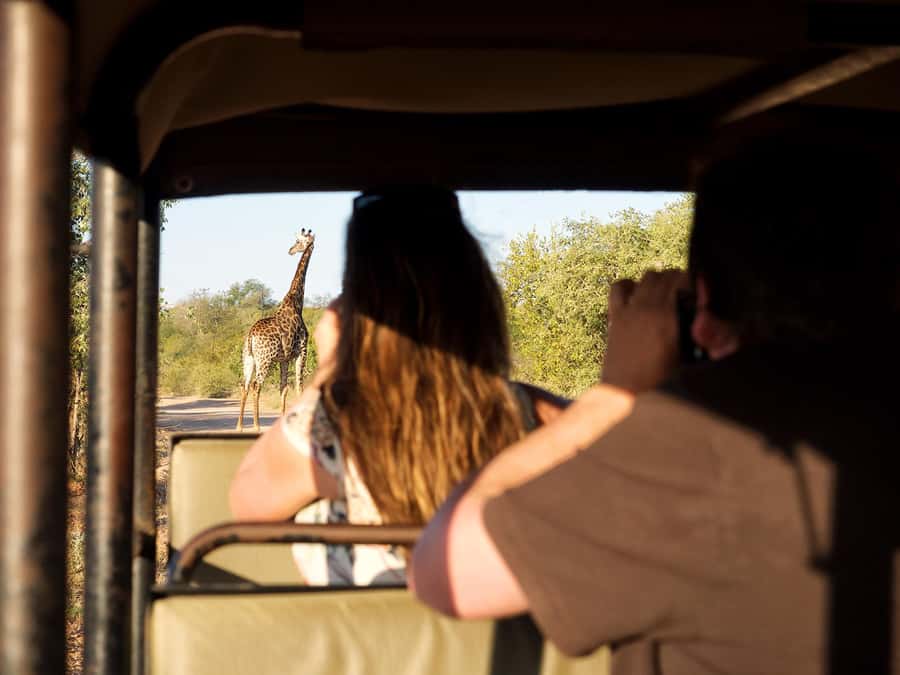 From Johannesburg: 3-Day Budget Tent Kruger Park Safari - Leaving Johannesburg for Tremisana and Balule