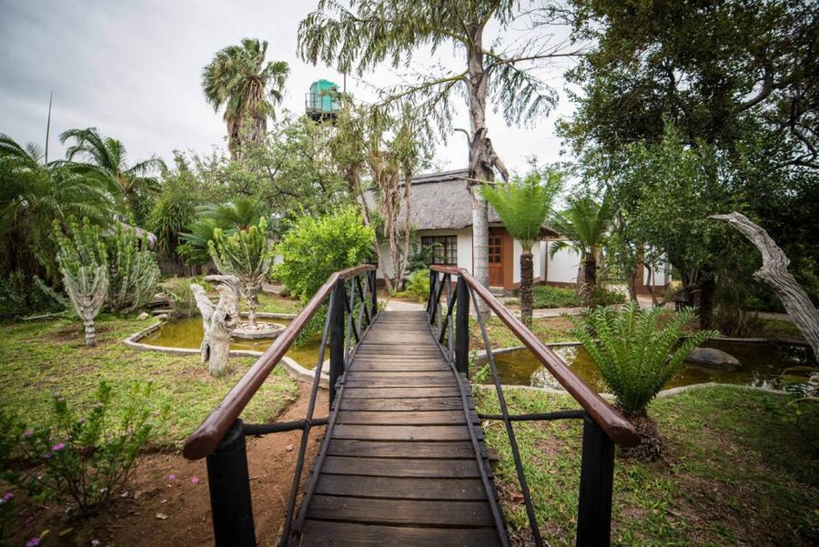 From Johannesburg: 6-Day Classic Kruger National Park Safari - Day 4: Wildlife rescue and another Balule drive