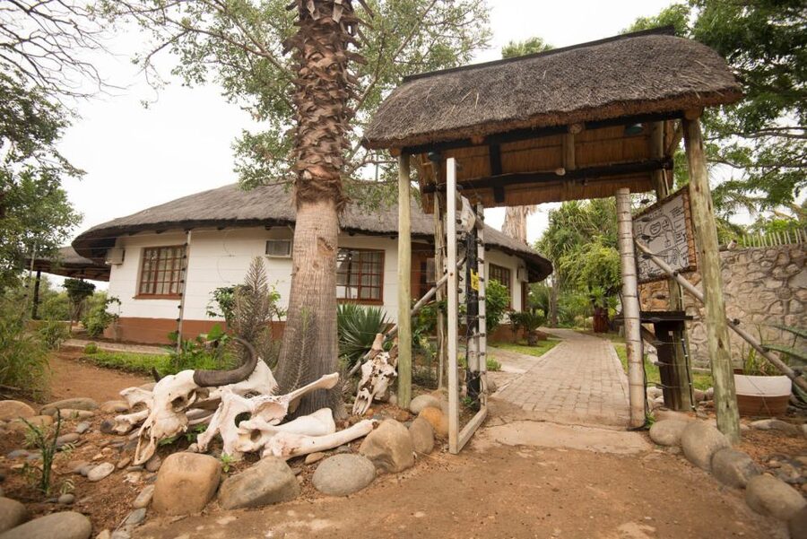 From Johannesburg: 6-Day Classic Kruger National Park Safari - Day 5: A second full day in Kruger