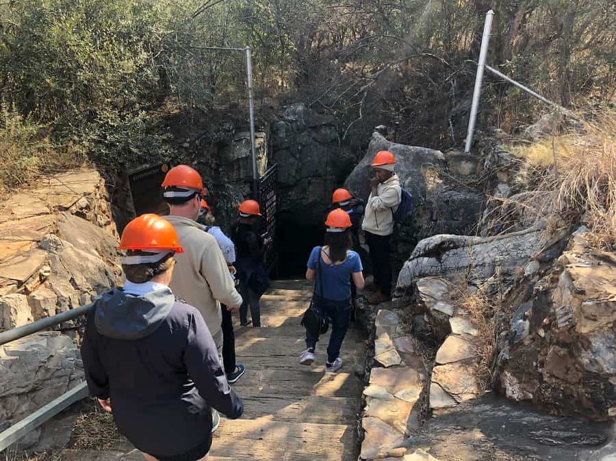 From Johannesburg: Cradle of Humankind and Lion Safari - FAQ