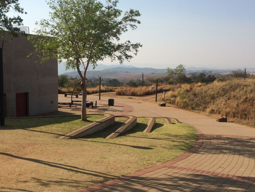 From Johannesburg: Cradle of Humankind and Lion Safari - Who should book this experience?