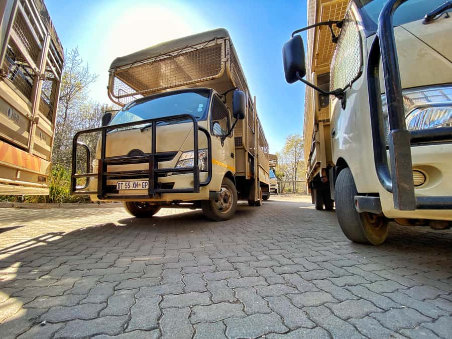 From Johannesburg: Lion & Safari Park Half-Day Tour - What the open truck feels like