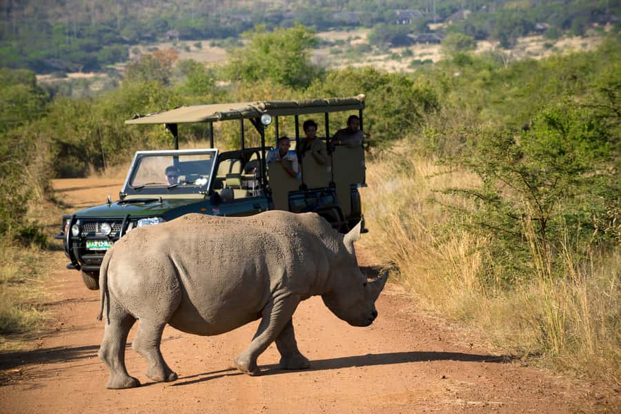 From Johannesburg: Pilanesberg Nature Reserve Game Safari - Key points to know before booking