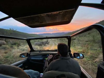 Pilanesberg Nature Reserve Game Safari