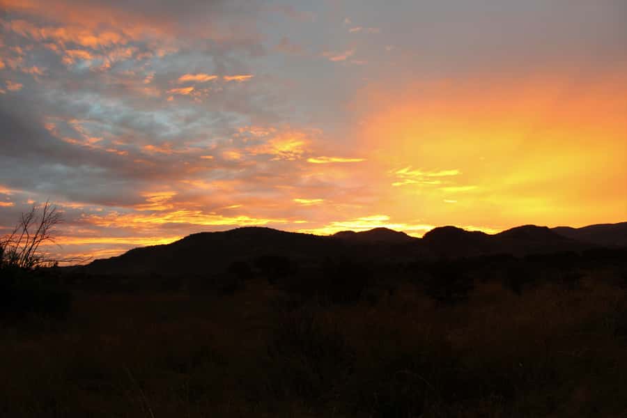 From Johannesburg: Pilanesberg Nature Reserve Game Safari - Price, park fee, and overall value