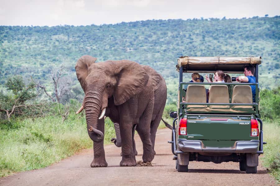 From Johannesburg: Pilanesberg Wildlife Safari - Pilanesberg’s extinct volcano makes the setting special