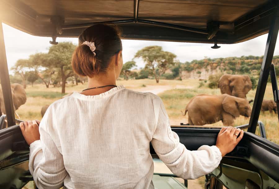 From Johannesburg: Pilanesberg Wildlife Safari - FAQ
