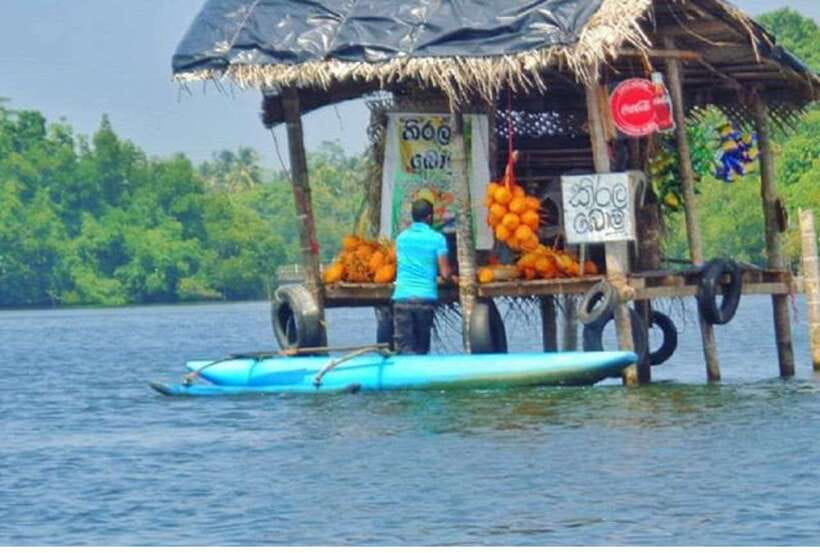 From Kalutara: Exclusive Madu River Safari & Turtle Hatchery - Cinnamon Island adds a local, hands-on stop