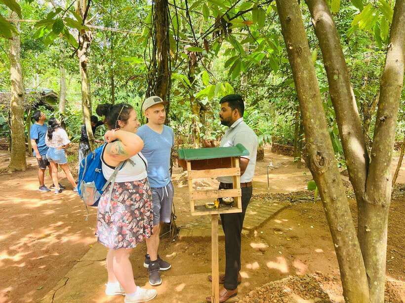 From Kandy: Sigiriya Day Tour with Elephant Safari(group) - Spice gardens, woodcarving, silk, and batik