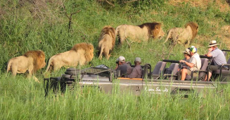 From Kasane: Chobe National Park Full Day Wildlife Safari - Lunch at Cresta Mowana Safari Lodge