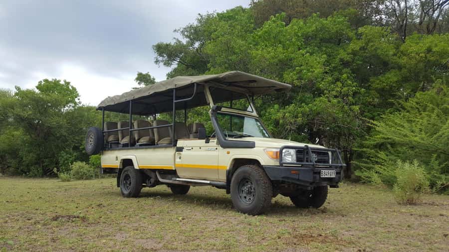 From Kasane: Chobe National Park Full Day Wildlife Safari - The real cost at $122 per person