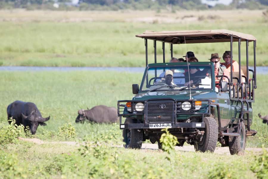 From Kasane: Chobe National Park Full Day Wildlife Safari - Who will get the most from this safari