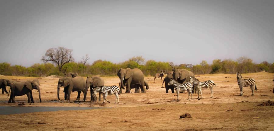 From Kasane: Chobe National Park Full Day Wildlife Safari - The Quadripoint and Kazungula Bridge from the route