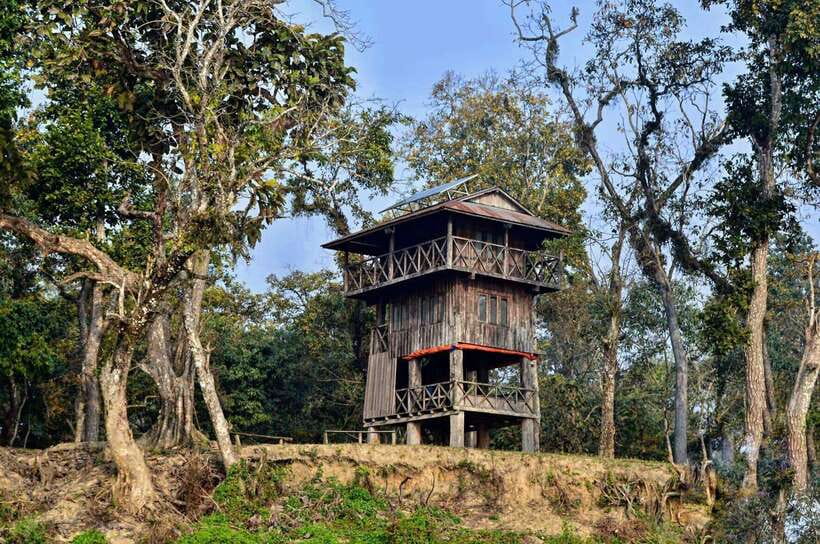 From Kathmandu/Pokhara: 2, 3, or 4-Day Chitwan Jungle Safari - Key points to know before booking
