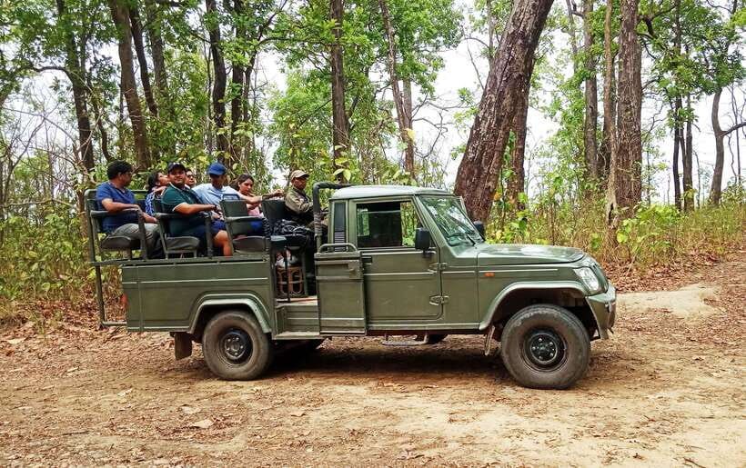 From Kathmandu/Pokhara: 2, 3, or 4-Day Chitwan Jungle Safari - The jeep safari and what you may see