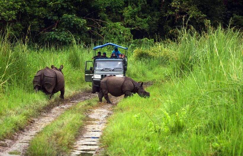 From Kathmandu/Pokhara: 2, 3, or 4-Day Chitwan Jungle Safari - Is the $35 price good value?