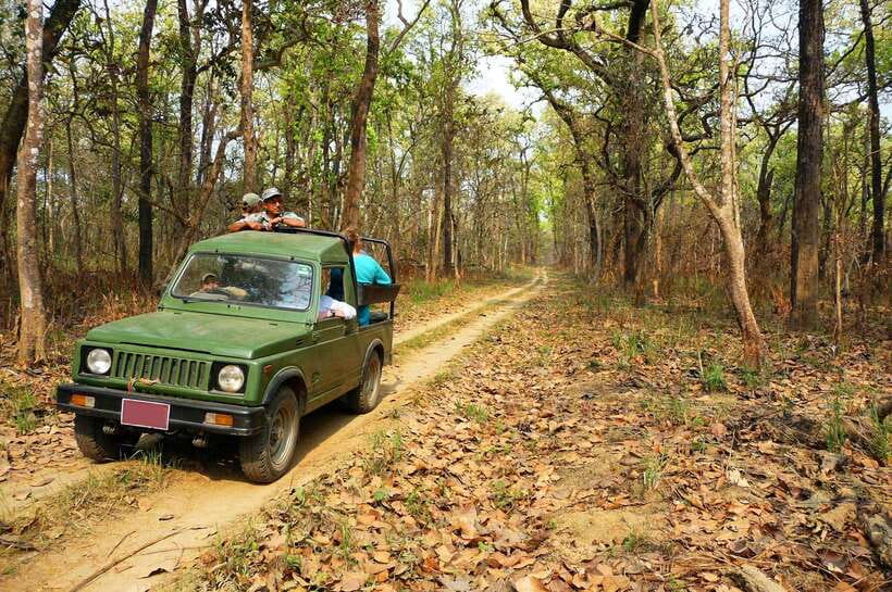 From Kathmandu/Pokhara: 2, 3, or 4-Day Chitwan Jungle Safari - Getting from Kathmandu or Pokhara to the park