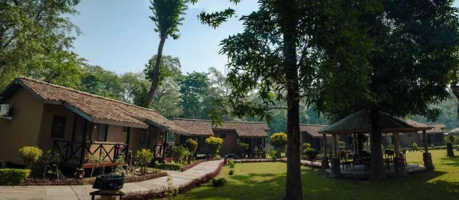 From Kathmandu/Pokhara: Private 3-Day Chitwan Safari Tour - Should you book it?