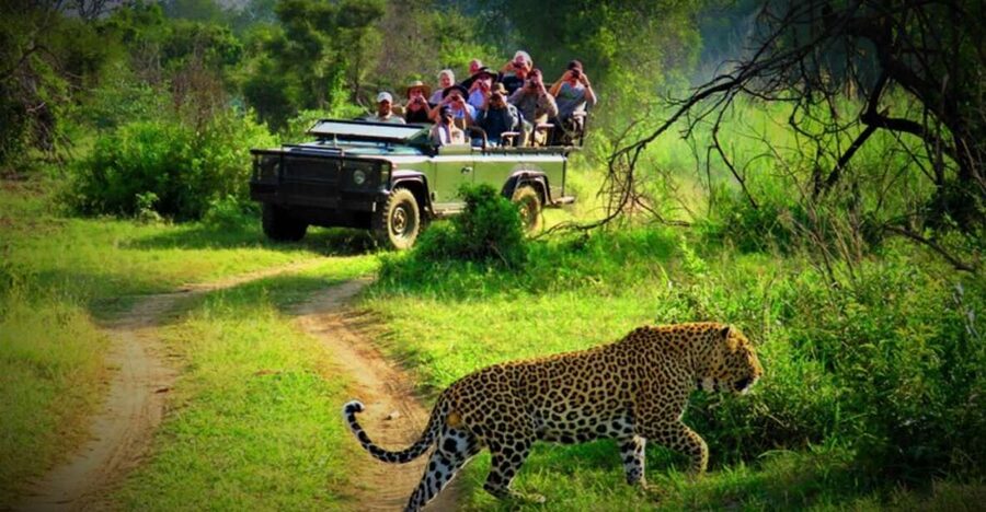 From Kathmandu/Pokhara: Private 3-Day Chitwan Safari Tour - Day 2: Jeep safari, river canoe, and elephants