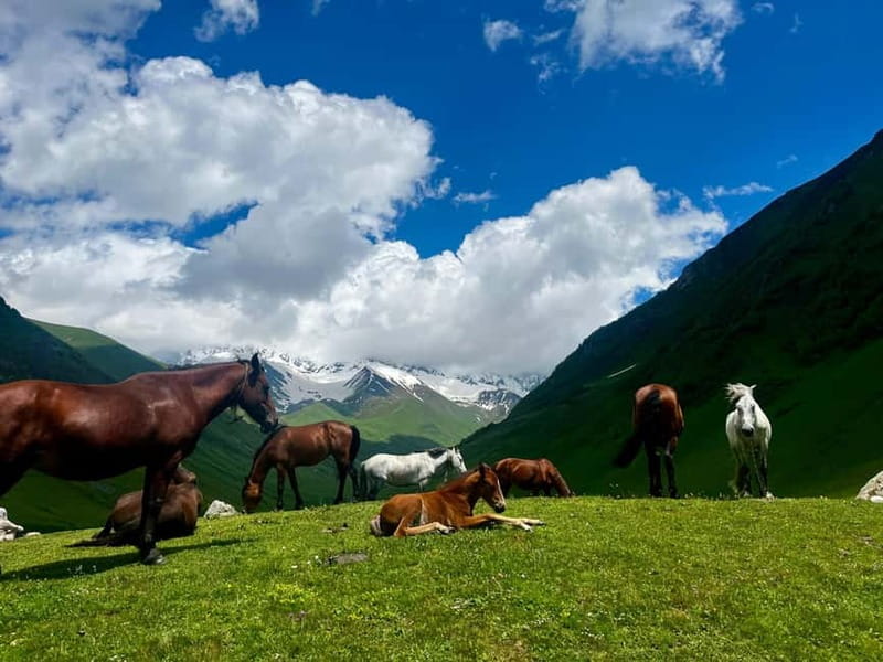 From Kutaisi: Svaneti Mountain Villages 2-Day 4x4 Safari - Food, fees, and what the $157 price really covers