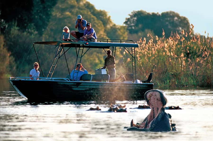 From Livingstone: Victoria Falls River Safari - A shallow-water route above Victoria Falls