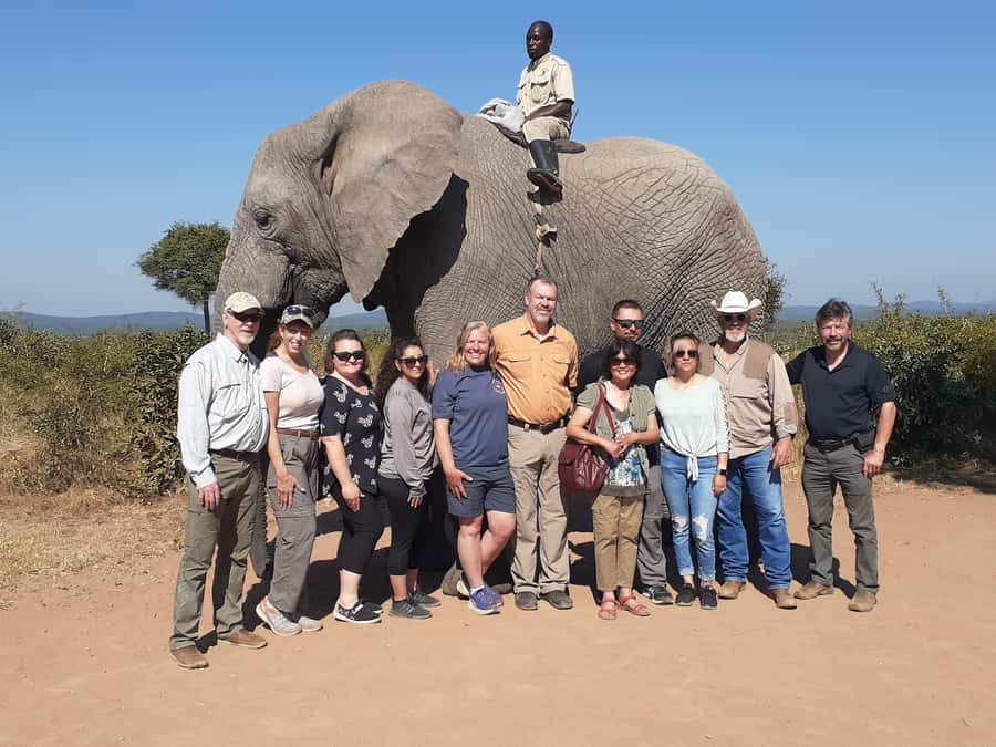 From Malelane: Half Day Kruger Park Wildlife Safari - A very early start from Malelane