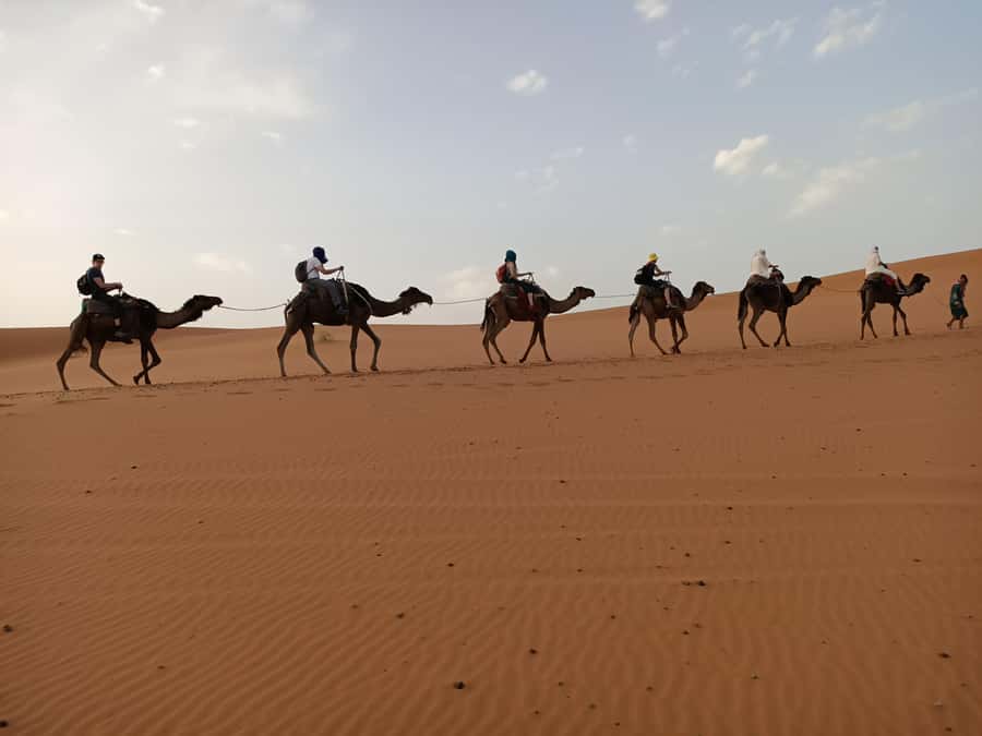 From Marrakech: 4-Day Morocco Sahara Desert Experience - Dades Valley and the road toward Todra Gorge